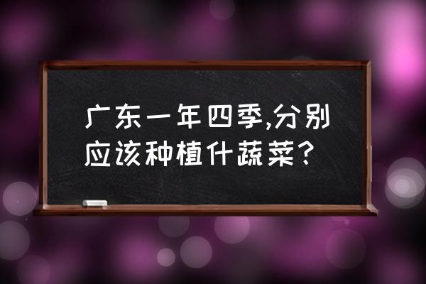 中医讲四季的食物 广东一年四季,分别应该种植什蔬菜？