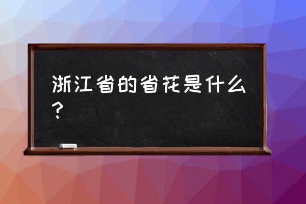 东方公证处 浙江省的省花是什么？